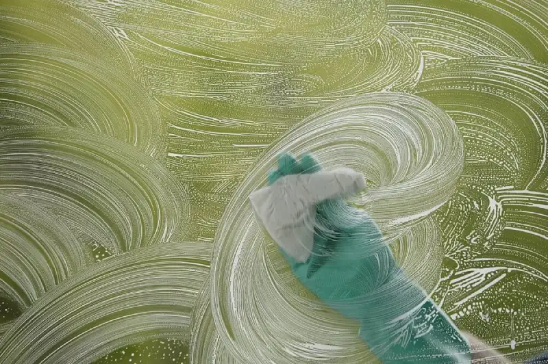 Window Washing Services