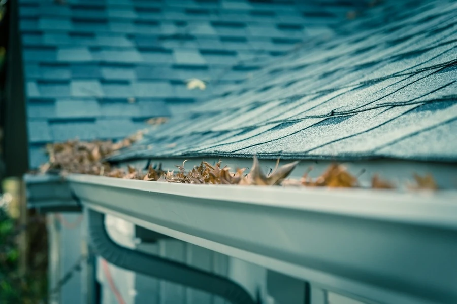 The Role Of Gutter Cleaning Service In Preventing Water Damage in Oakland, CA